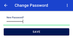 screenshot of changing password